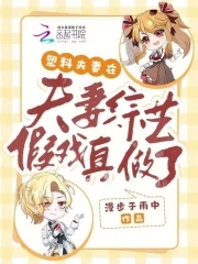 塑料夫妻在夫妻综艺假戏真做了塑料夫妻在夫妻综艺假戏真做了